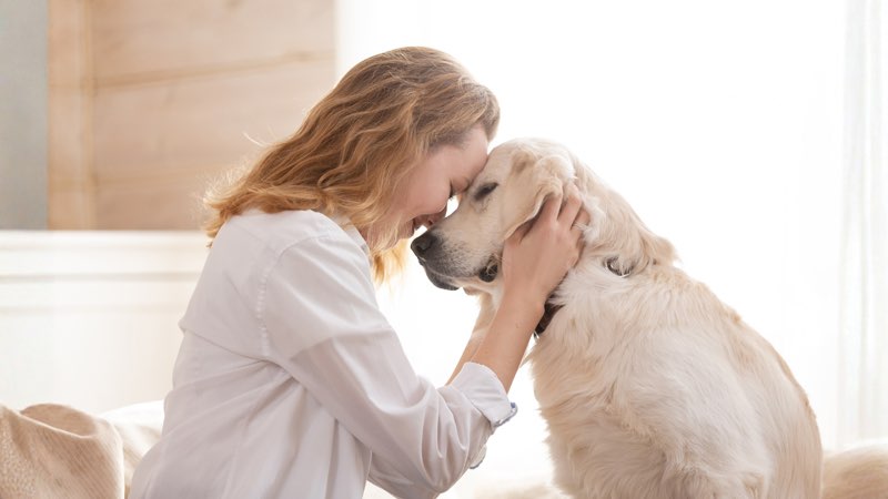 愛犬と寄り添う飼い主